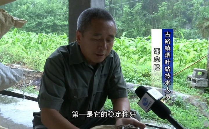 緊緊抓住木屑造粒機生物質(zhì)顆粒燃料加工場地建設(shè)項目落地的契機，找準結(jié)合點，推動共和綜合服務(wù)型煙農(nóng)專業(yè)合作社與生物質(zhì)顆粒燃料加工廠的緊密合作.jpg
