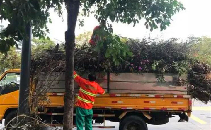 園林綠化廢棄物再利用，南京棲霞年處理量超3萬噸.jpg