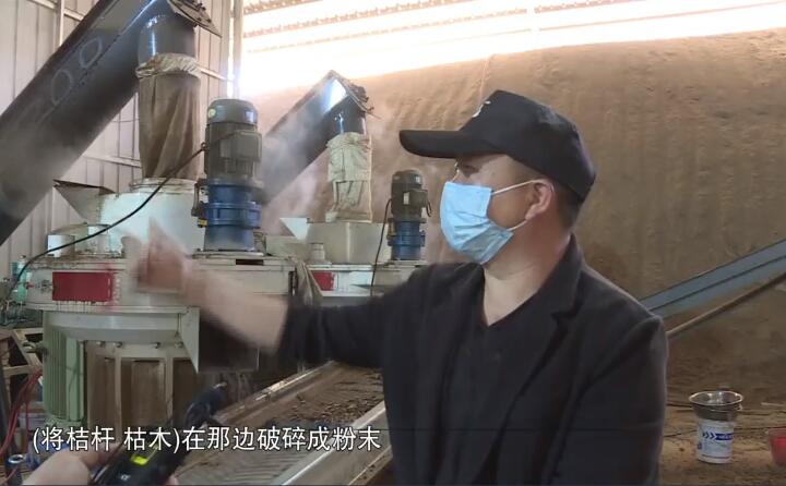 將桔桿、枯木在那邊破碎成粉末，然后經(jīng)過這兩個造粒機的碾壓，形成這種顆粒燃料出來，形成最后的產(chǎn)品.jpg
