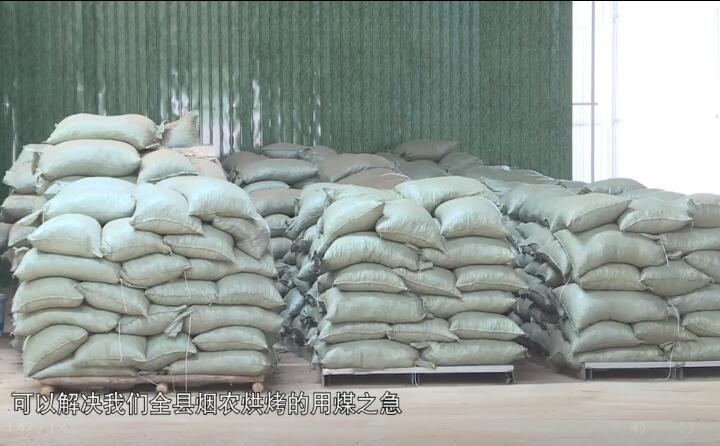 造粒機生產(chǎn)下來的生物質(zhì)燃料顆粒，可以解決全縣煙農(nóng)烘烤的用煤之急，用它替代煤來烤煙，可以解決2萬畝烤煙的烘烤燃料.jpg